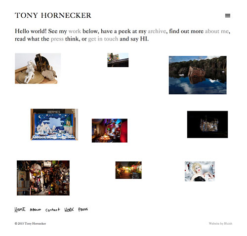 Tony Hornecker artist website